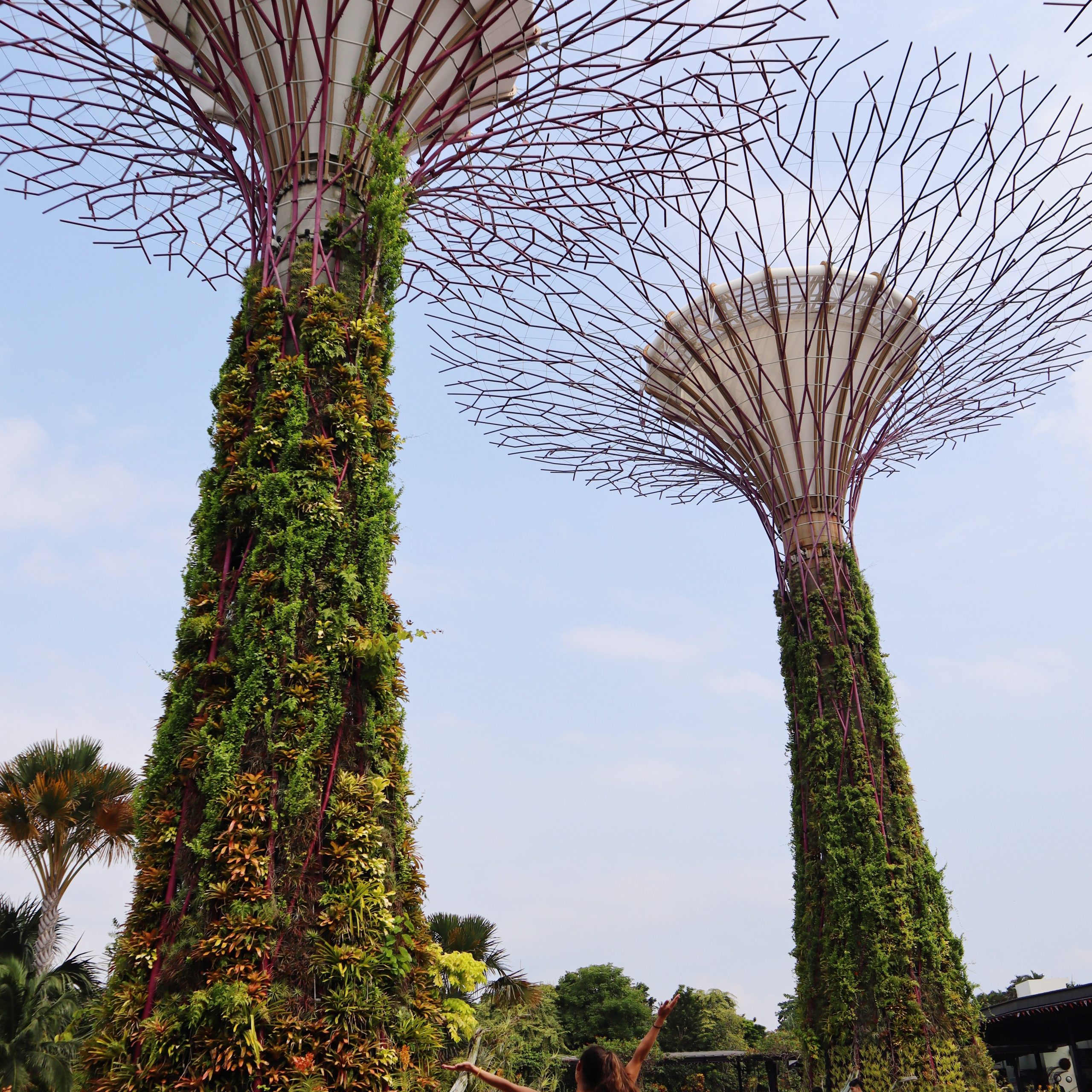 DAY 3 SINGAPORE – GARDENS BY THE BAY + MARINA BAY SANDS
