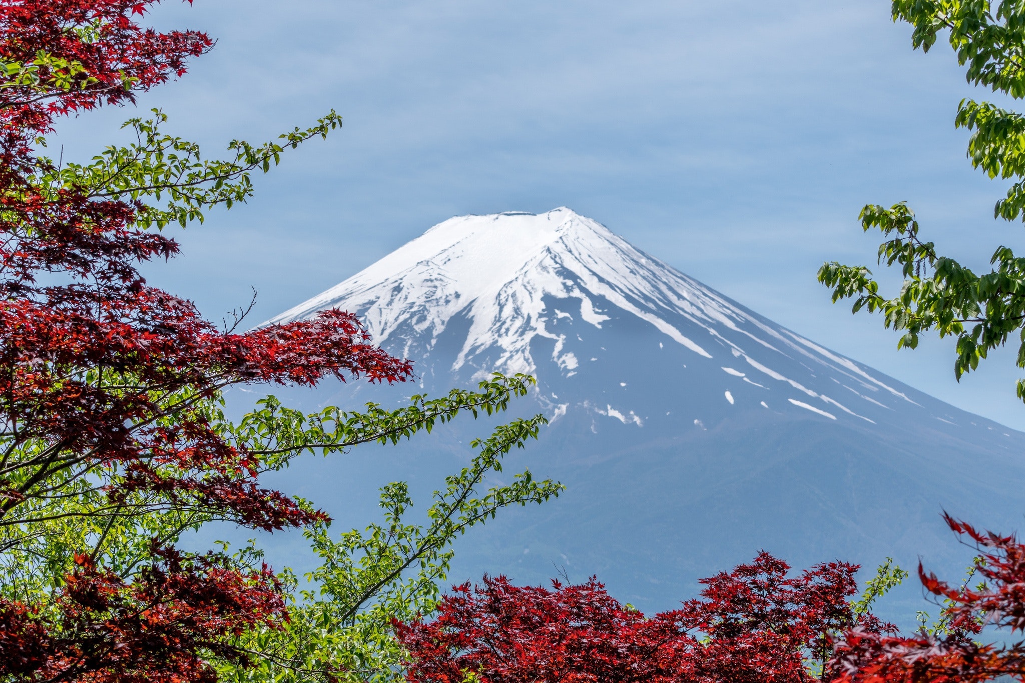 Day 03 -Excursion to Mt. Fuji: The Tallest Peak In Japan :-